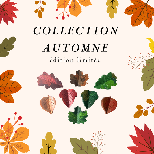 Boîte Thématique - AUTOMNE / AUTUMN - Themed Box